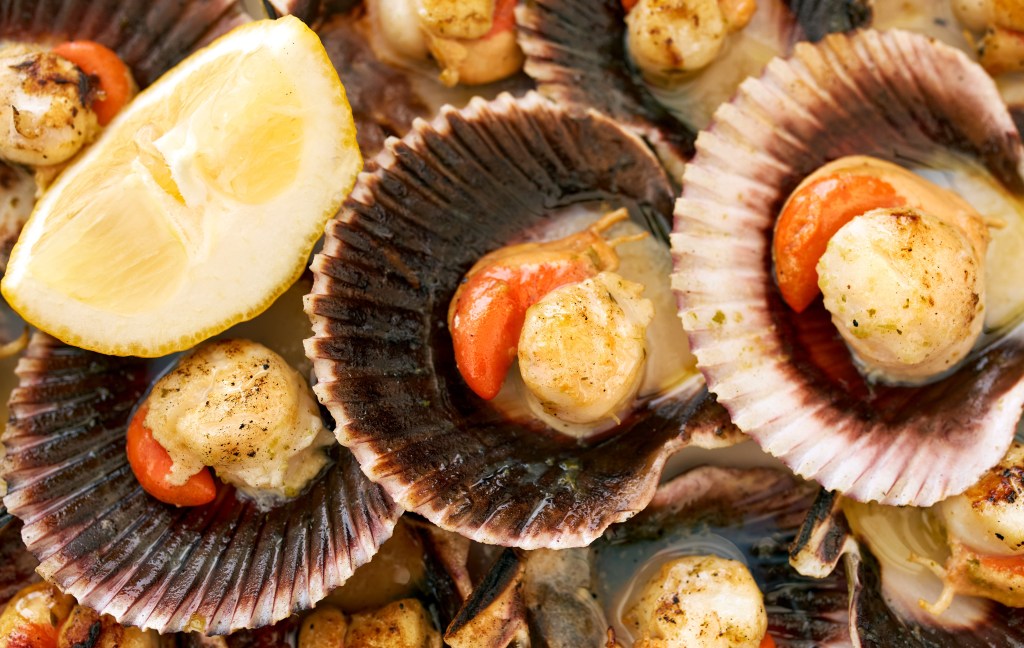 Salsa alle Vongole o Salsa de&nbsp;Almejas